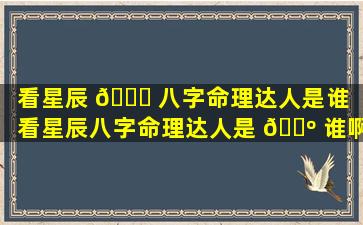 看星辰 🐎 八字命理达人是谁（看星辰八字命理达人是 🌺 谁啊）